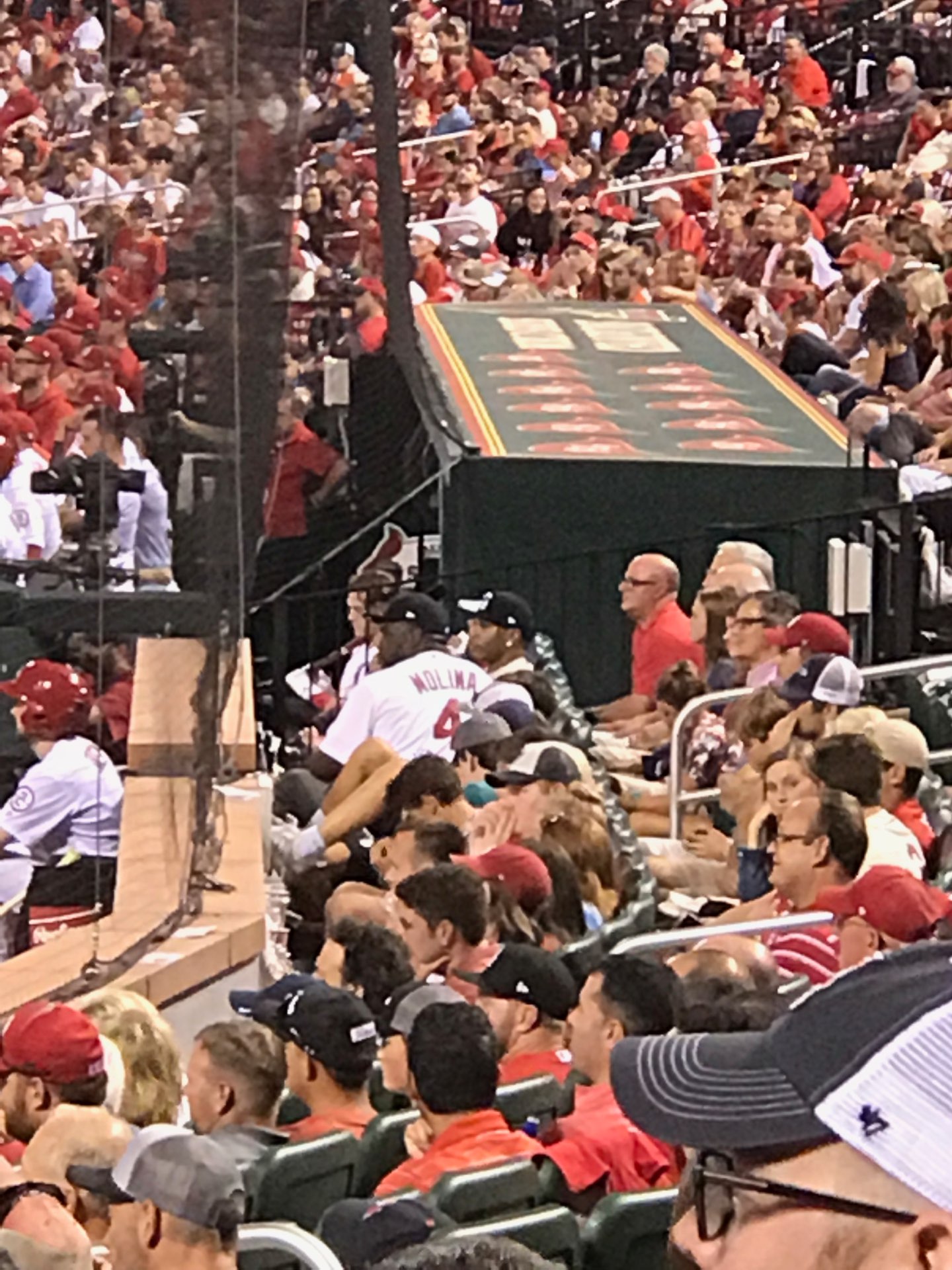 Nelly at the game