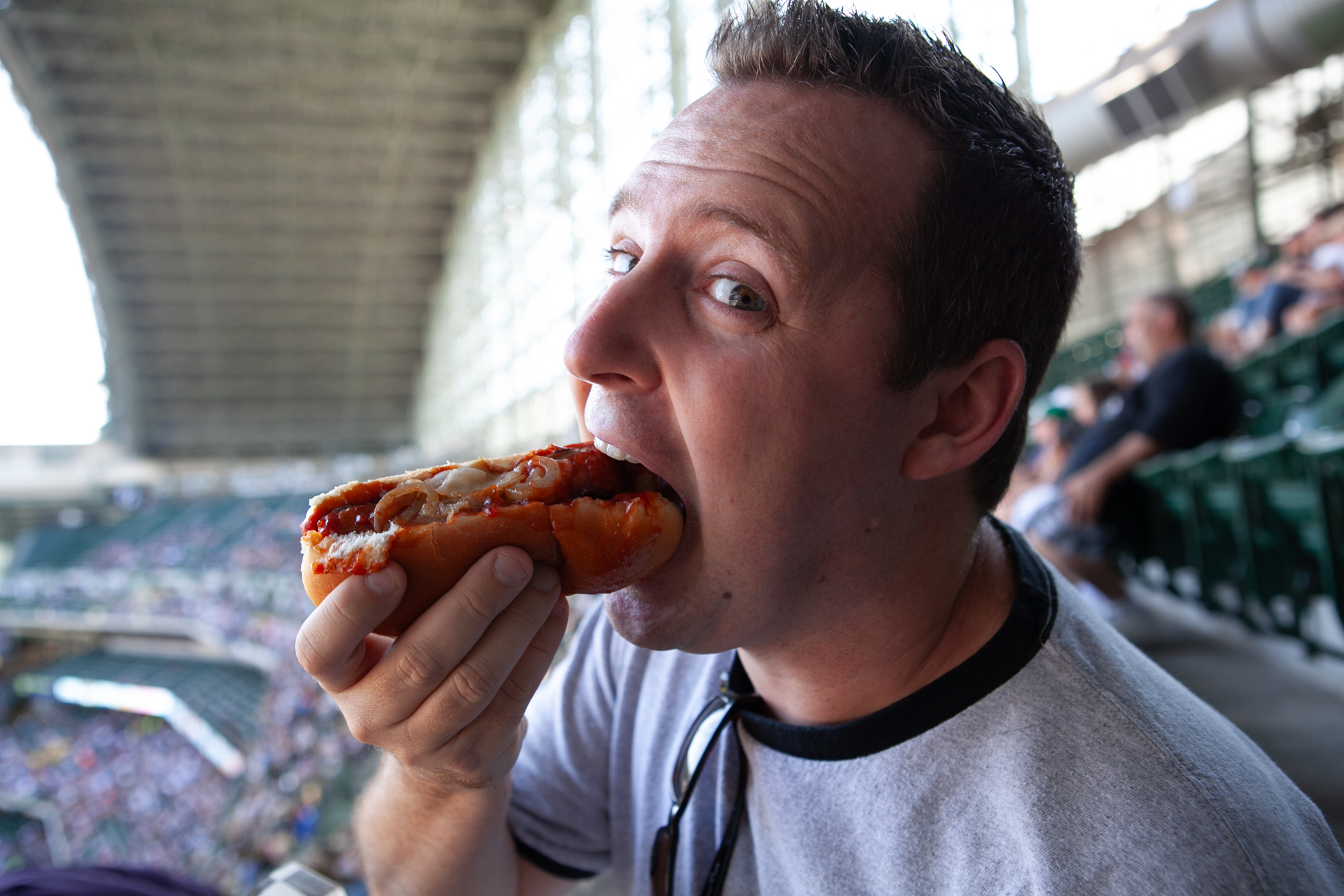 Tasty Dog